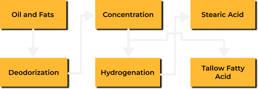 stearic acid manufacturing process